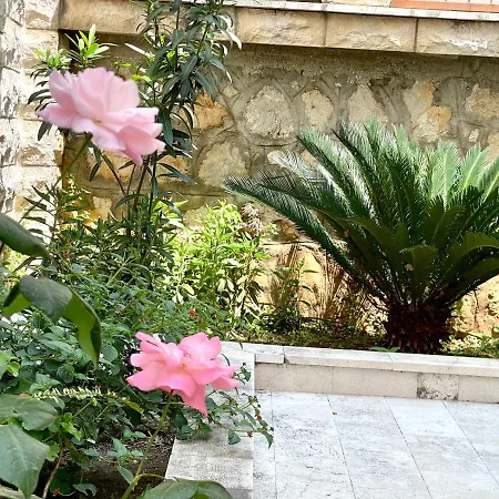 Mirjana Apartman Budva