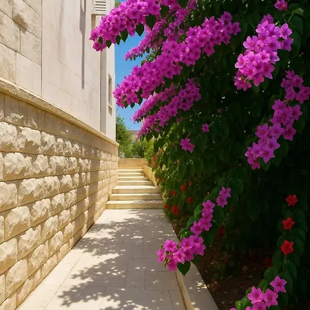 Mirjana Apartman Budva